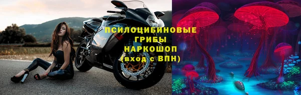 гидра Магадан
