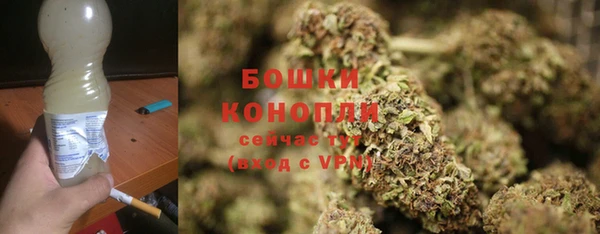 крисы Майский